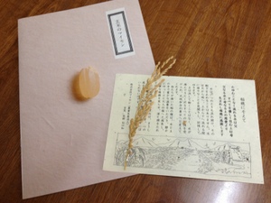 玄米クッキー5