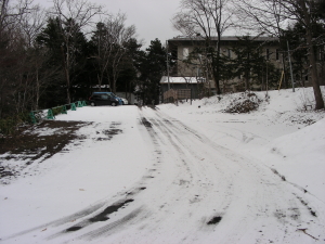 2017-04-13mori1 (1).JPG