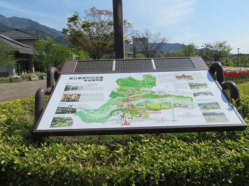 チューリップを見に 秦野戸川公園 花と菜園のアラカルト 楽天ブログ