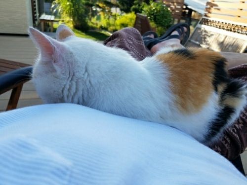 rblog-20180825234820-04.jpg