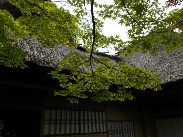 006 (640x480).jpg