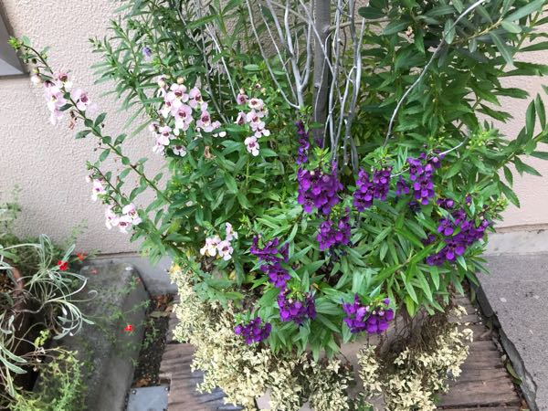 rblog-20181004193453-01.jpg