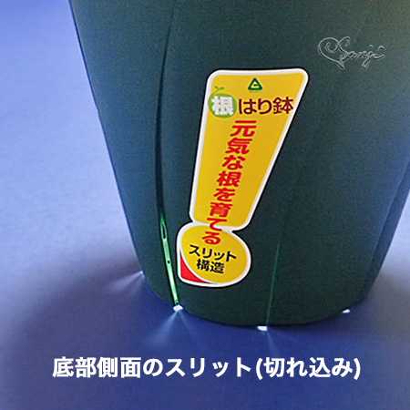 根はり鉢のスリット
