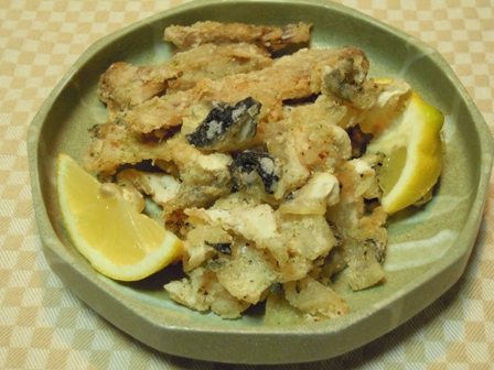 DSCN5701.JPG