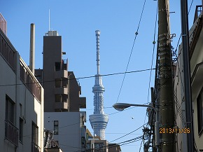 IMG_0629b.jpg