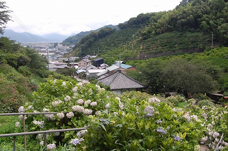 s-DSC_0129.jpg