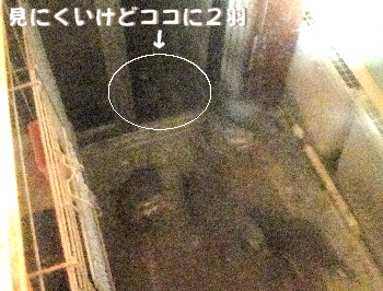 2013/08/30(2)