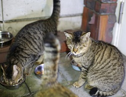 5DA_9357-20.jpg