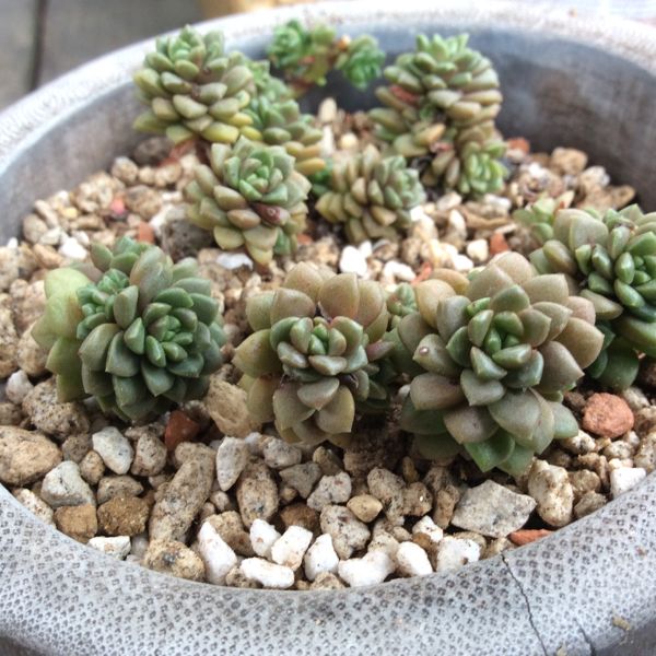 rblog-20140714084508-00.jpg