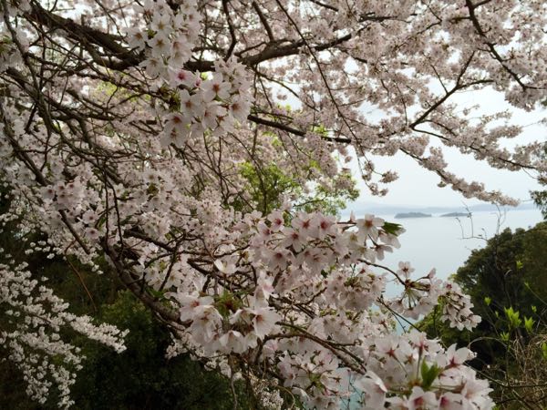 rblog-20160406174853-02.jpg