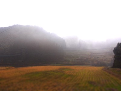 霧