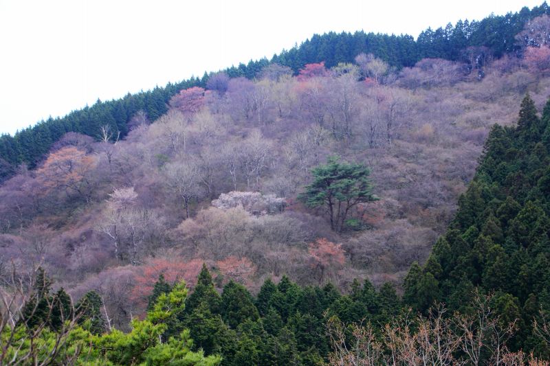 金剛山_09.jpg