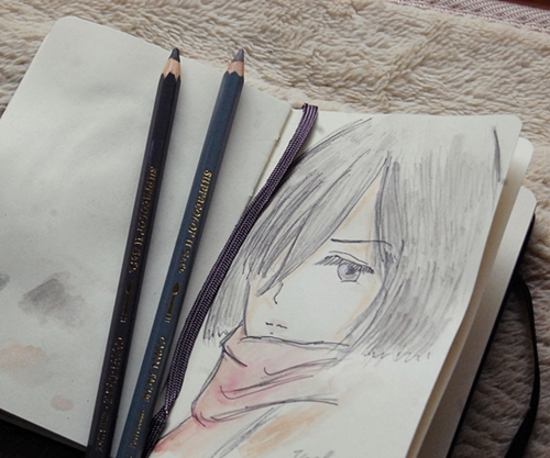 撮った 描いた モノダイアリー 楽天ブログ