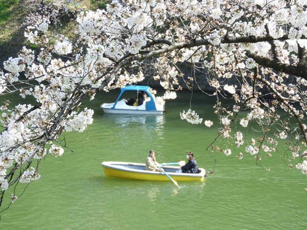 千鳥ヶ淵緑道