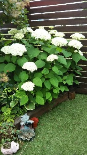 rblog-20180720211502-01.jpg