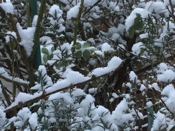 rblog-20170115082431-02.jpg