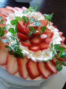 IMG00012.jpg