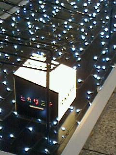 NEC_0074.JPG