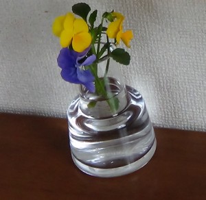 DSC00097.JPG