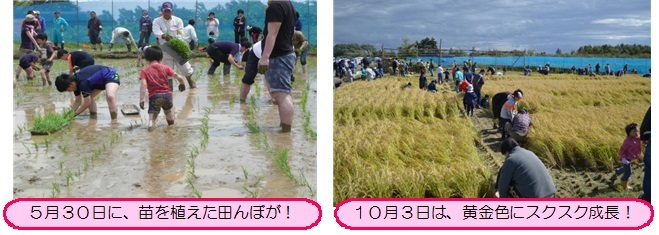 shinoine3.jpg