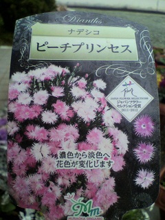 2012112116190000.jpg