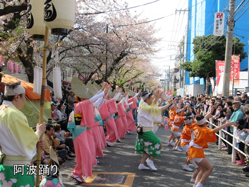 馬込文士村大桜まつり