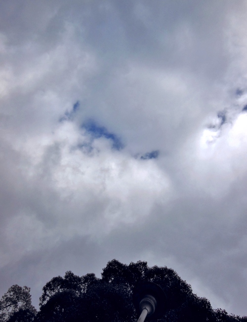 空6.JPG