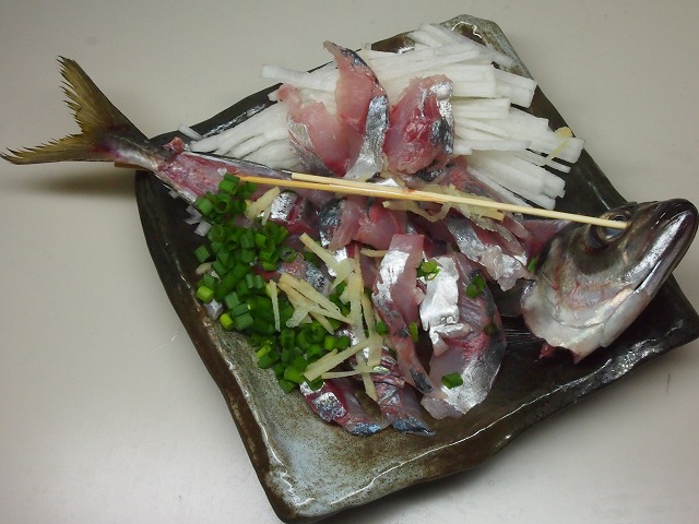 P1050014.jpg