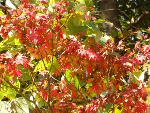 PA180039.JPG