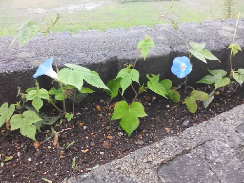 rblog-20150923060905-01.jpg