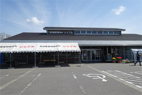 新潟386.jpg