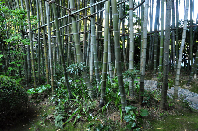庭１