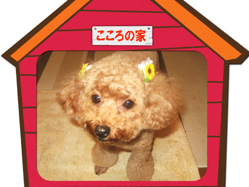 こころ４