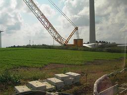 DSCN5830-w256.jpg