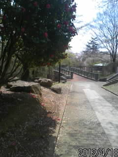 佐野城本丸虎口３