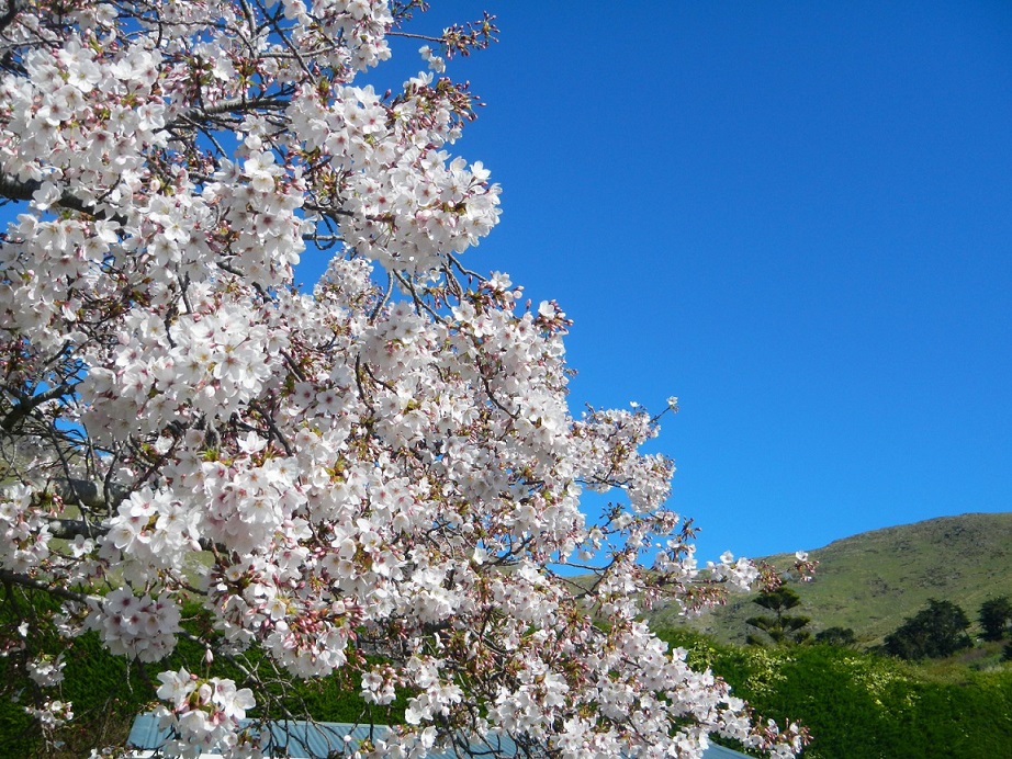 DSCN45572 (p??p??p?+).jpg