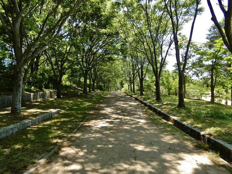 外周路11