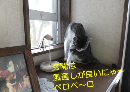 20120920_5.jpg
