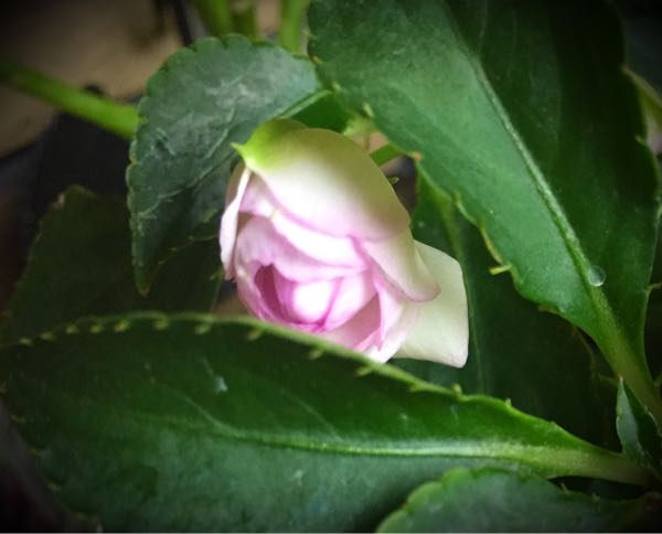 rblog-20160530192740-03.jpg