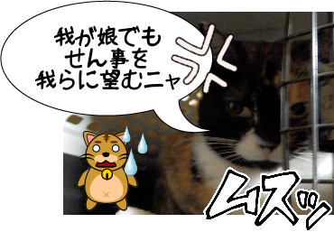 P5280029.png