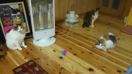 rblog-20170418102028-01.jpg