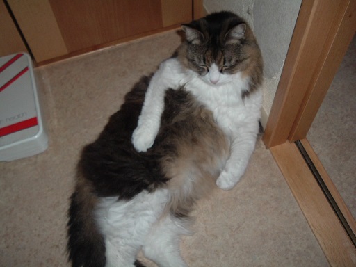 DSCF2605.JPG