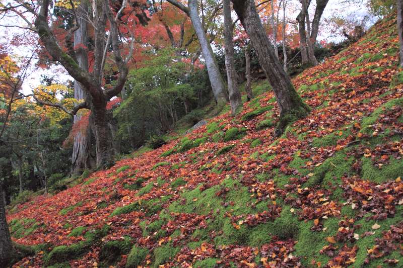 常寂光寺_011.jpg