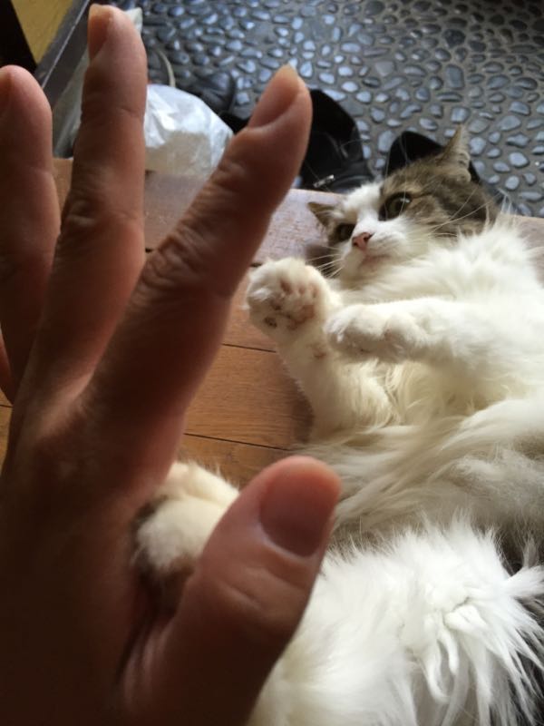 rblog-20150729091953-00.jpg