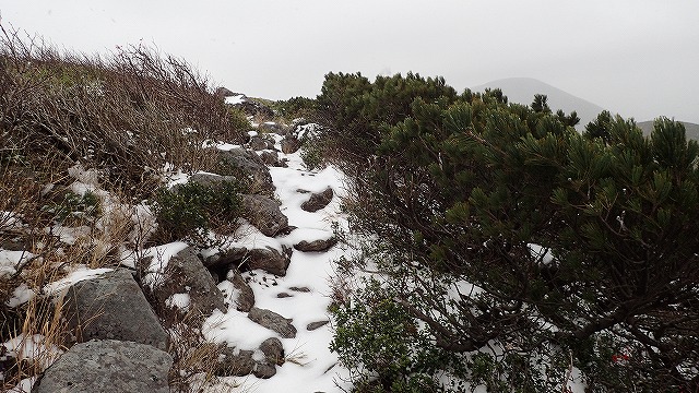 PA221550　11：46足元危ない.jpg
