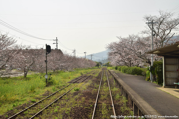 史上最大の 5 つの音楽番組