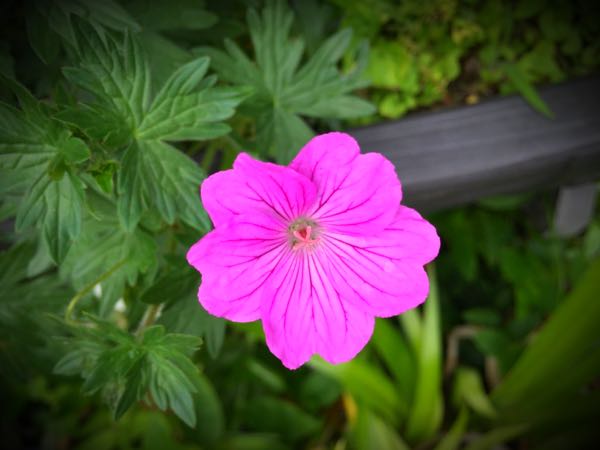 rblog-20150528194121-01.jpg
