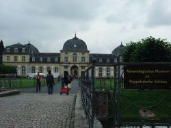 poppelsdorf