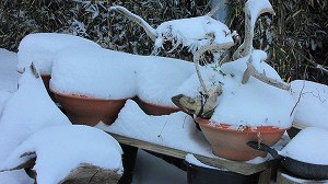 IMG_9426.jpg