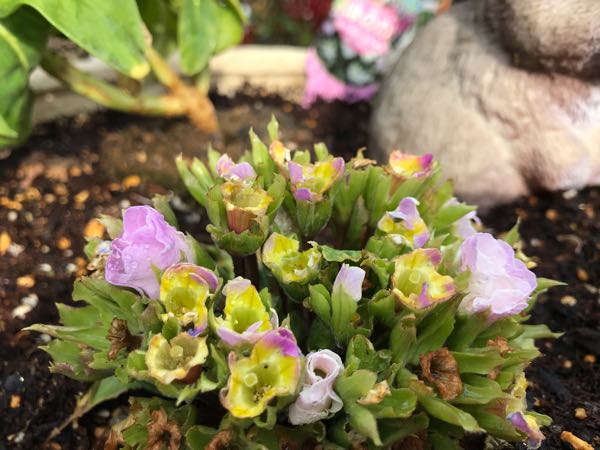 rblog-20190401163710-06.jpg